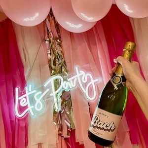 Pink, white & gold fringe photo backdrop